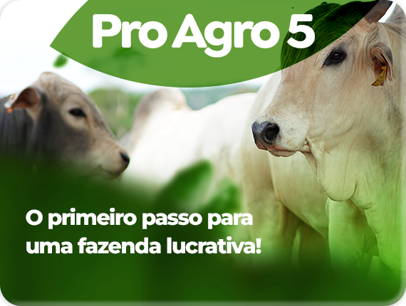 Descubra como organizar sua propriedade para aumentar a rentabilidade!
Com o PRO AGRO 5, você terá:Diagnóstico completo do seu negócio (Análise detalhada para tomada de decisão)
Identificando oportunidades para reduzir custos (Levantamento financeiro e produtivo da fazenda)
Assertividade nas tomadas de decisões (Decisões baseadas em números da fazenda)
Aumentar a lucratividade (Definindo estratégias para melhorar sua gestão)- Precisão Agro
